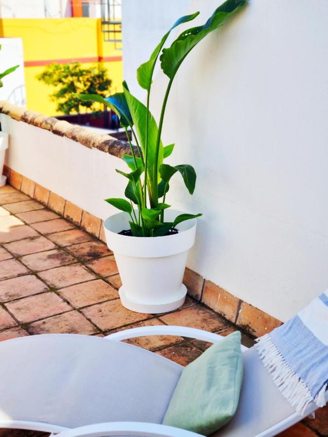 Loft & Private Rooftop With Bbq Севілья Екстер'єр фото